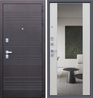 Дверь Дуэт с зеркалом